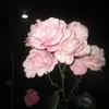 kj_i6ll