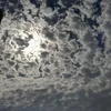 2xl_09