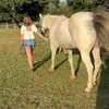 Rehman Rescue Ranch
