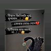 munjurul.islam708