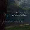 rana.fareed773