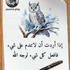 user6187910760017