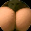 yvyeedez15m