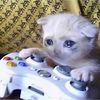 mobilegamereviews86