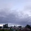 lascelosita