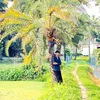 mdrasellove5