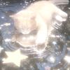 shewtingstar_