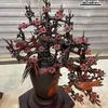nguyenha150917