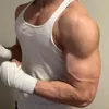 domino_yt88