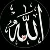user1561431059101