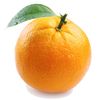 orangeorange376