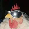 Cortes Viral 86