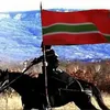 lezginn013