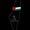 mohamed.nabel704