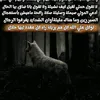 user2554458583337