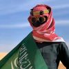 ayedalshahrani7