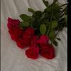 user7480011506606