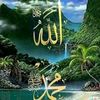 user41078823177527