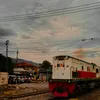 rezxvc1