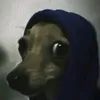 وقت جلوب🩴😎
