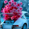 shehriyarahmed396