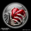 user412578184