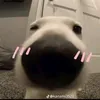 thuyngan_114