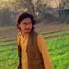 kamran.barbad