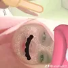 amirbudi21