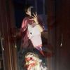 user61267686351185