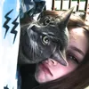 mara_spider
