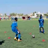 pedrilemaestro6