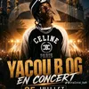 ycoubog7