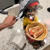 zeddychisom4