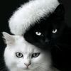 www.tiktok.comnur57