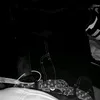 syenxx_lp