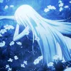 cn_1st