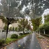 _gocnhothanhxuan_