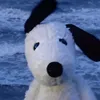jadenaskuterkuskirski