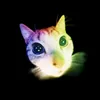 projectx.apk