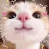 eliananoelia___