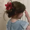 rokia.elbahy