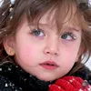 lvrmiaa_
