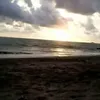 endangyunisafitri