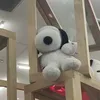 utsuwaiiyone