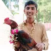 safdar.khan3113