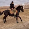 aibat030