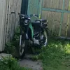 ilyasimpson129