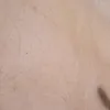 creusa.maria2634