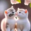 mustakin.hossain623